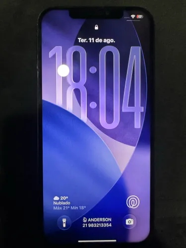 iPhone 12 Pro Max 256