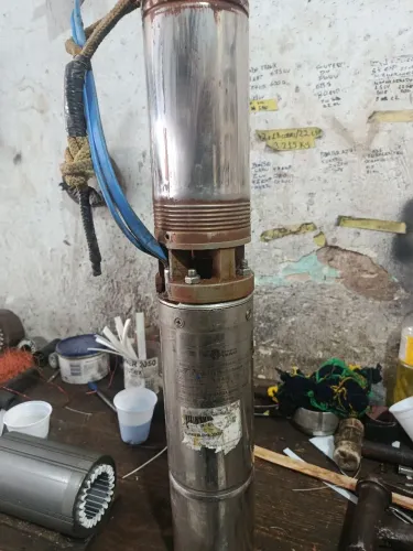 Bomba submersa leão