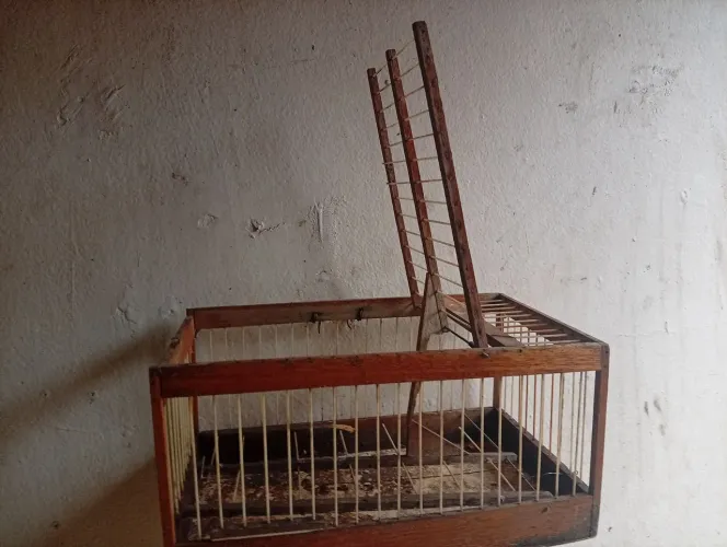 Gaiola