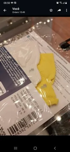 Macaras da lupo adulto 