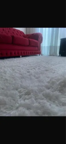 Tapete pelo alto novo