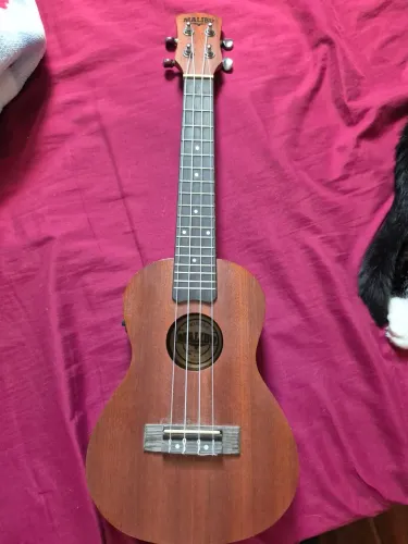 Ukulele Malibu Acústico Concert 23S Natural Com Capa<br>Escolha da Amazon<br>