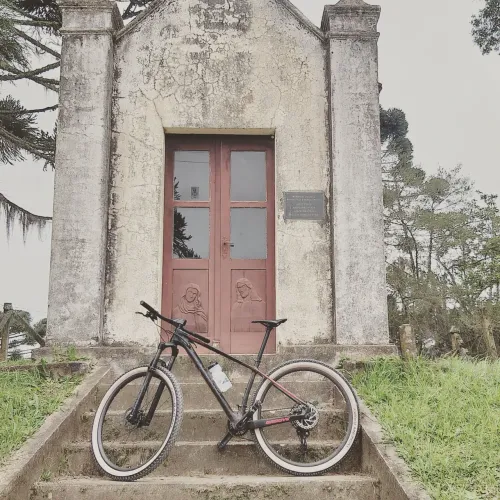 MTB de carbono Grove  