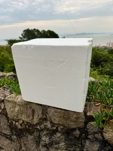 Caixa de isopor 