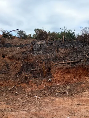 Terreno 5x15 caviúna Inamar 