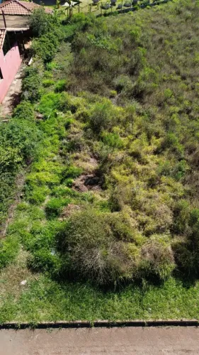 LOTE NOVA LIMA