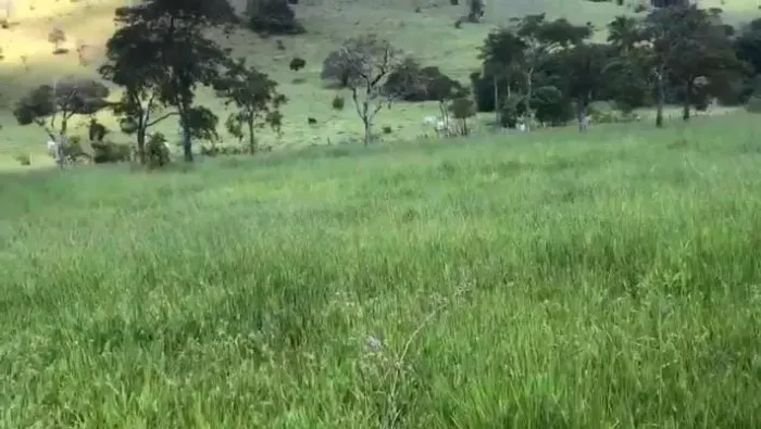 Fazenda à Venda - 344 Hectares - Região de Jequié/BA