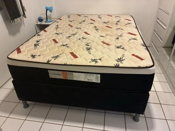 Cama