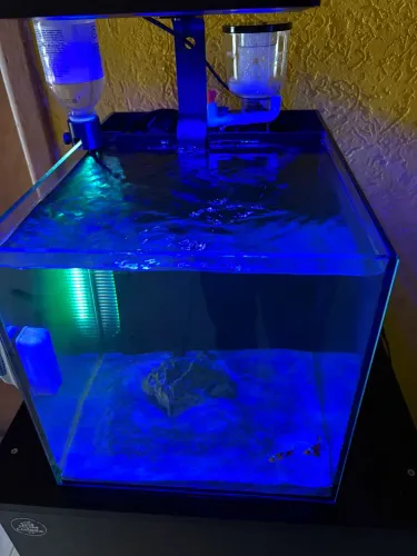 Aquário marinho nano