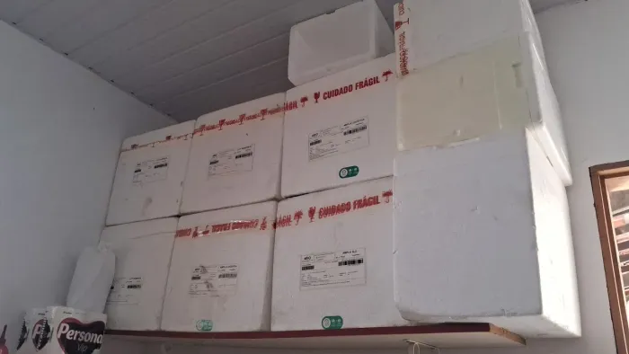 Caixa de isopor 18lt