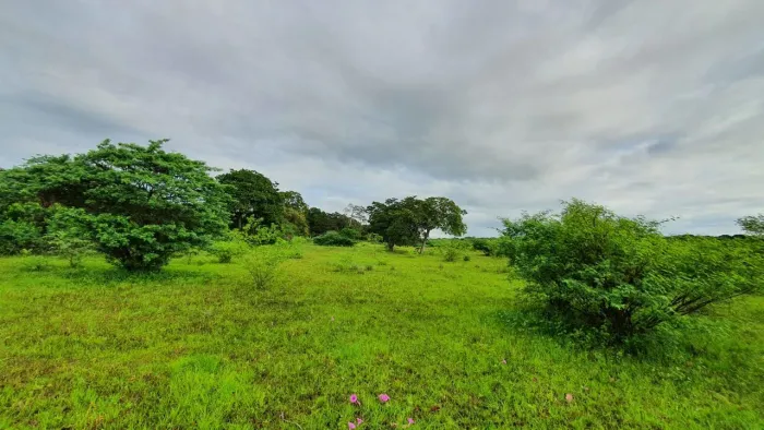 Terreno 12 hectares com açude
