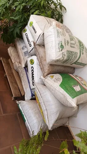 Esterco puro de curral