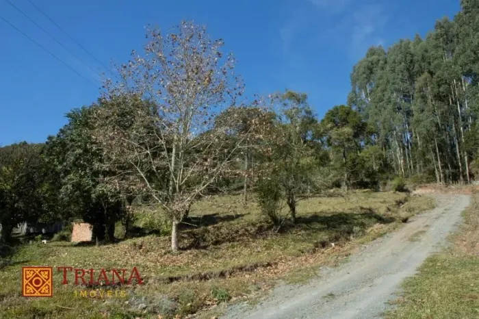 TERRENO DE 7 HECTARES COM LINDA VISTA EM RIO RUFINO/SC