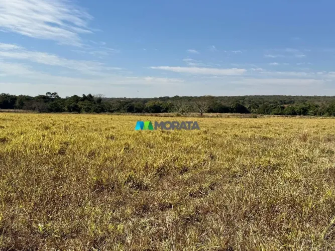 FAZENDA À VENDA - 530 HECTARES - CORDISBURGO (MG )