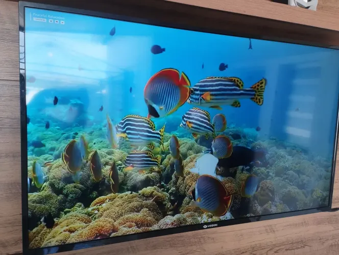 Smart TV 50? 4K DLED Vizzion LE50UHD20