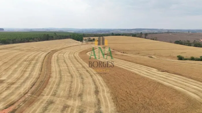 EXCELENTE FAZENDA A VENDA NA REGIÃO DE ITAPETININGA - SP
