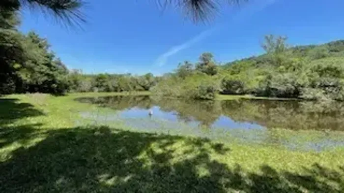 Fazenda/Sítio/Chácara para venda tem 20399 metros quadrados com 2 quartos