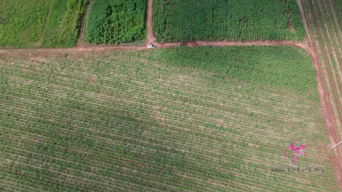 Terreno à venda, 4340 m² por R$ 300.000,00 - Área Rural - Pirassununga/SP