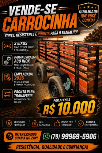 Carrocinha 2 eixos