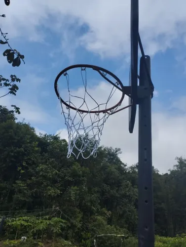 Cesta de basquete