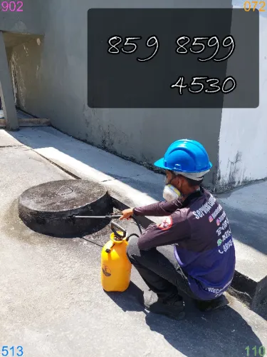 Dedetizacao no Centro e Joaquim Távora com agilidade e bom atendimento!