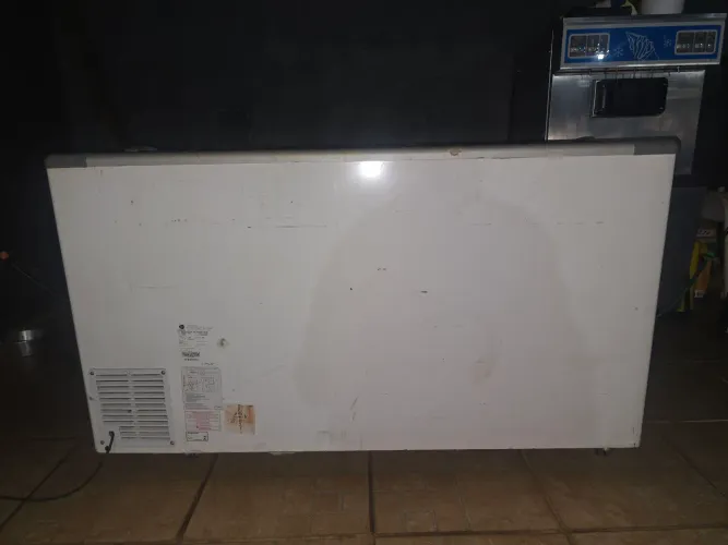 Freezer Horizontal Fricon