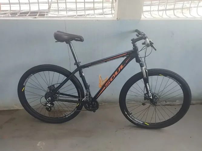 Bike Soul 29