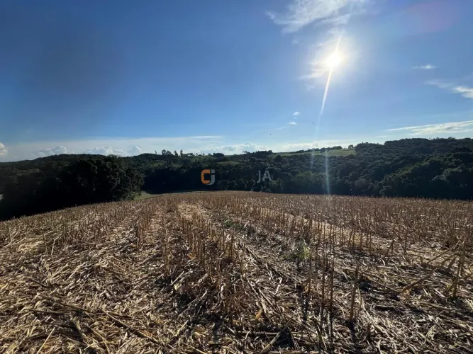 TERRENO PARA FORMAÇÃO DE CHÁCARA / PLANTIO 10 MINUTOS DO CENTRO