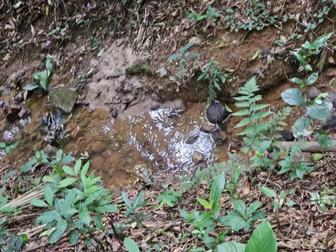 Terreno Escriturado com água por 20 mil reais (valor da entrada)