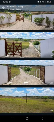 Vaqueiro 
