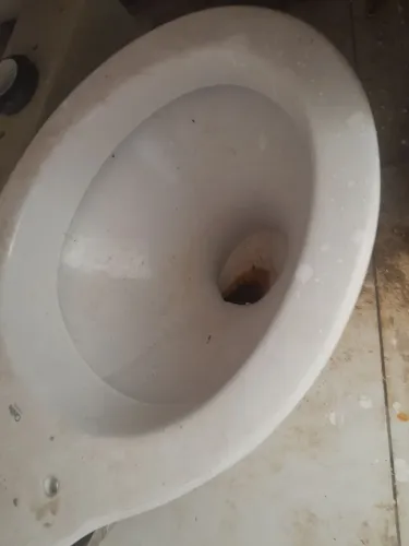 Vaso sanitario