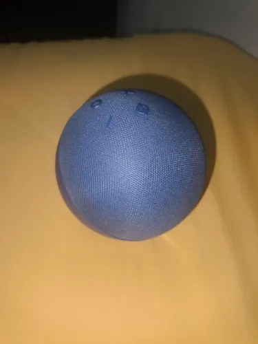 Alexa