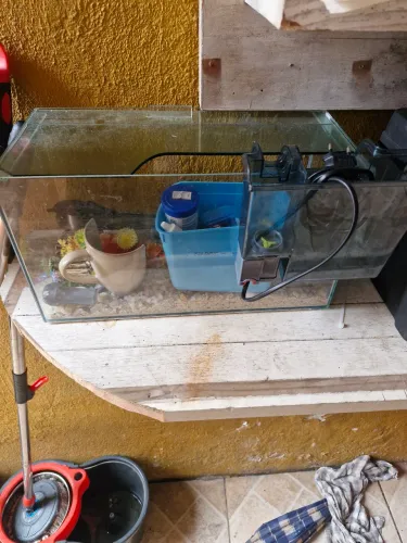 Aquario 40x19x22 - 17 litros