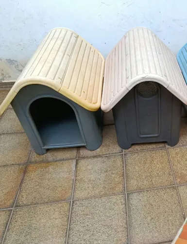 Casinha de cachorro