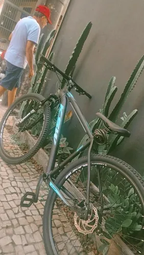 Bicicleta