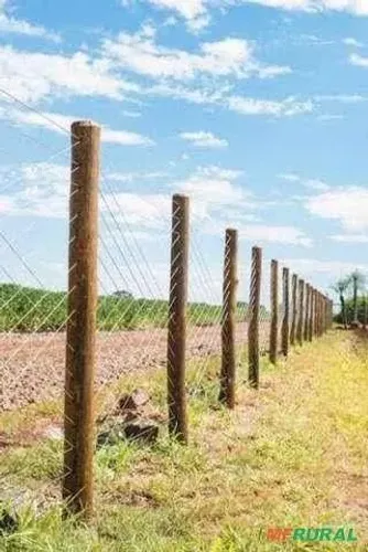 Caseiro disponivel