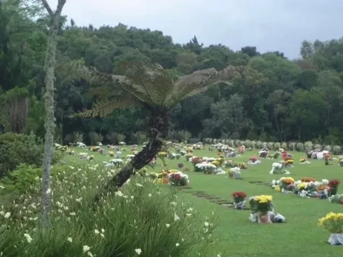 Jazigo - Memorial Graciosa em Quatro Barras