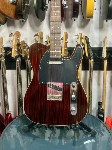 Guitarra Harley Benton TE Deluxe