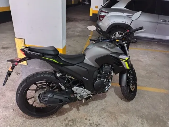 Fazer 250, 2024, flex