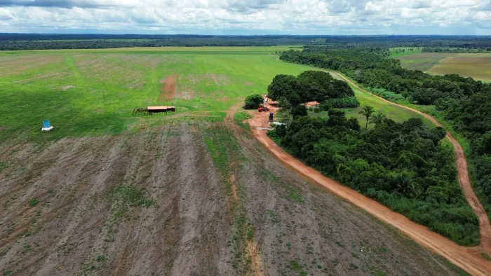 Fazenda de arrendamento 1.000hec plantando em Rolândia TO.