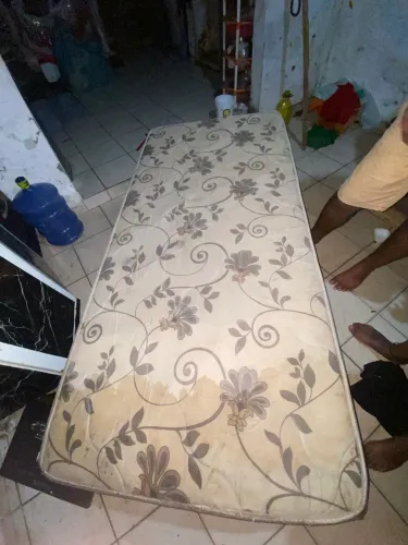 Cama (BICAMA)