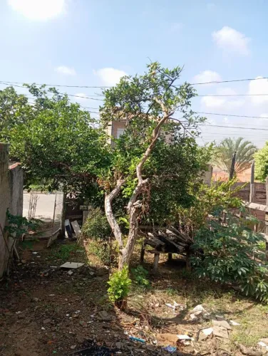 Terreno à venda em Monte Mor, Parque Residencial São Clemente