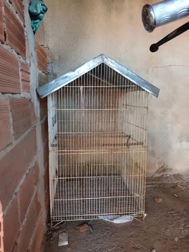 Vendo gaiola pra criação de codornas