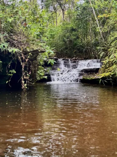 Fazenda 78 Há em Santos