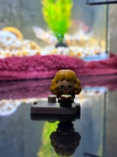miniatura hermione harry potter cacau show