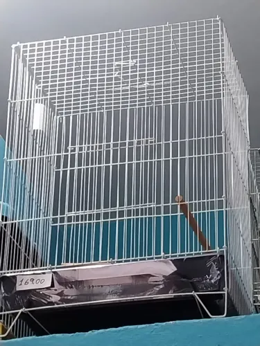 Gaiolas para pássaro