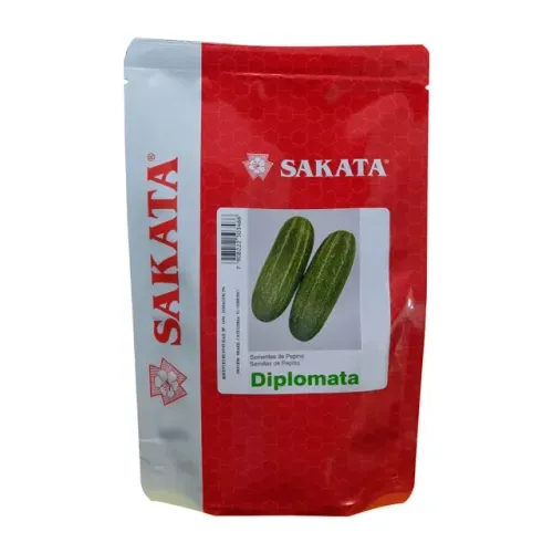 Semente Pepino Diplomata