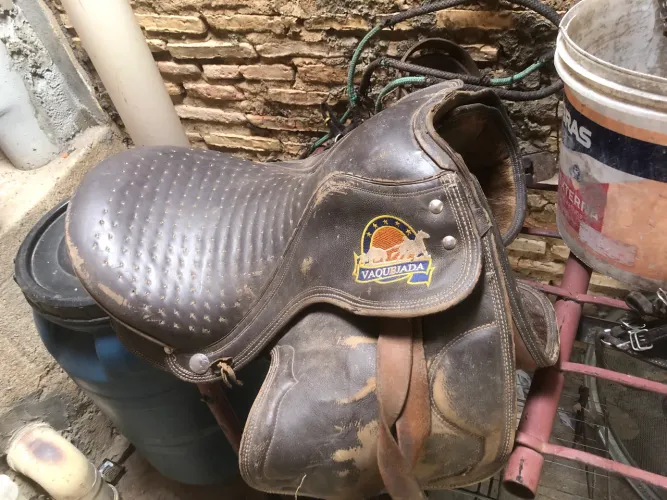 Sela de cavalgada