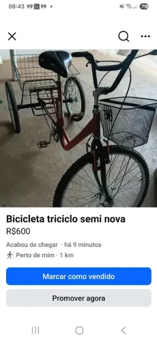 Bicicleta triciclo