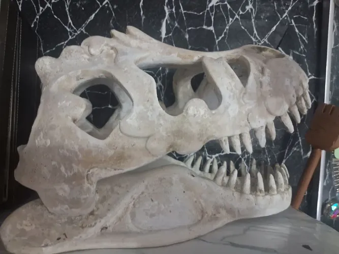 Cabeça dinossauro resina